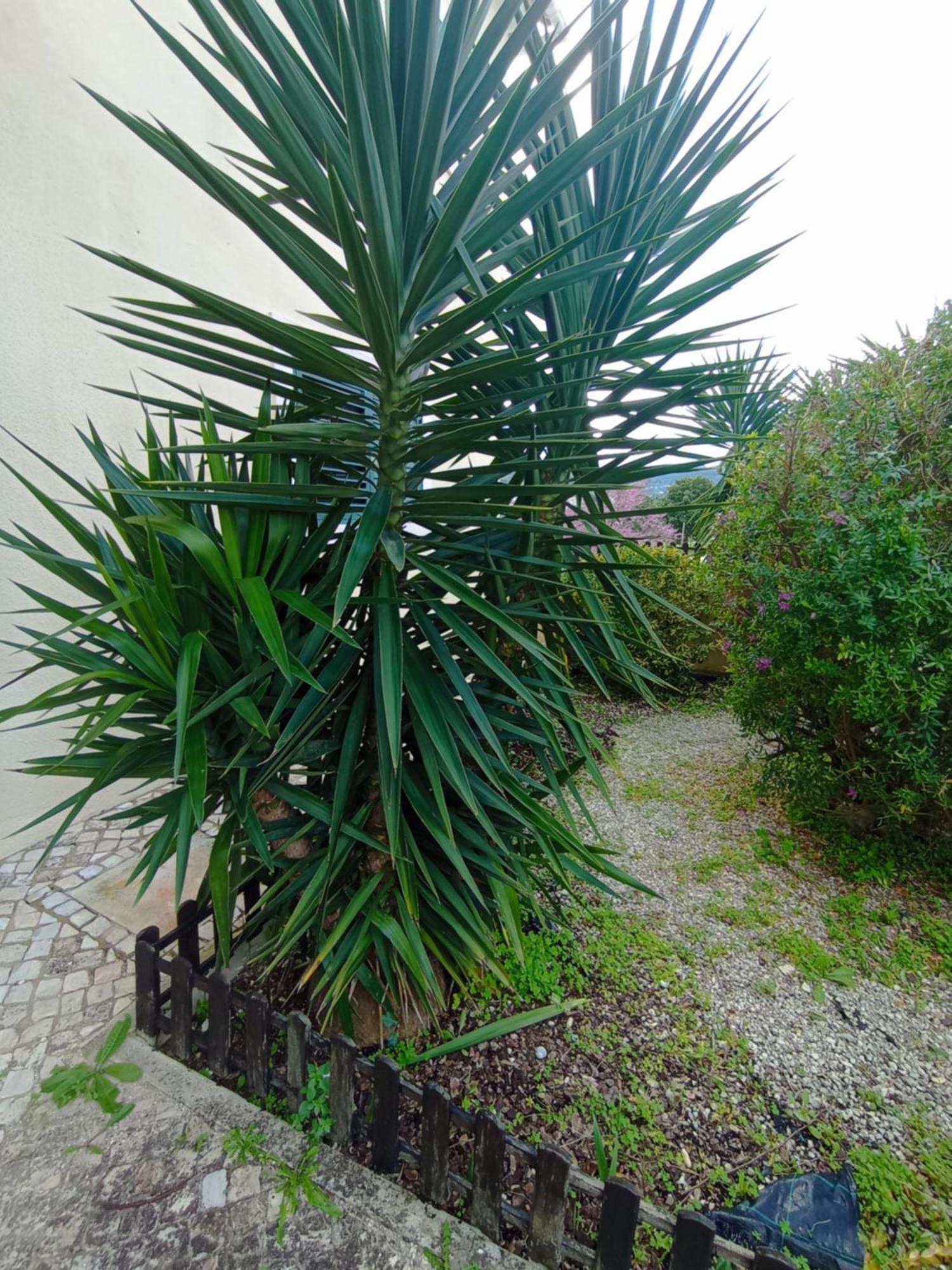 Sossego E Tranquilidade-Valley Guest House-Perto De Lisboa-Estacionamento A Porta Do Alojamento Arruda dos Vinhos Zewnętrze zdjęcie